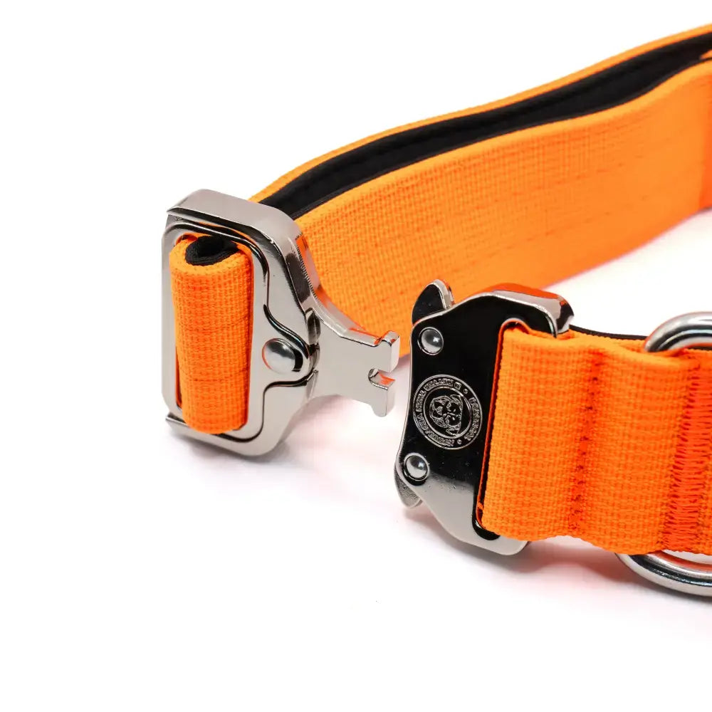 Bright orange 4cm nylon btactical dog collar with sturdy silver buckle and black inner lining in citrus orange color