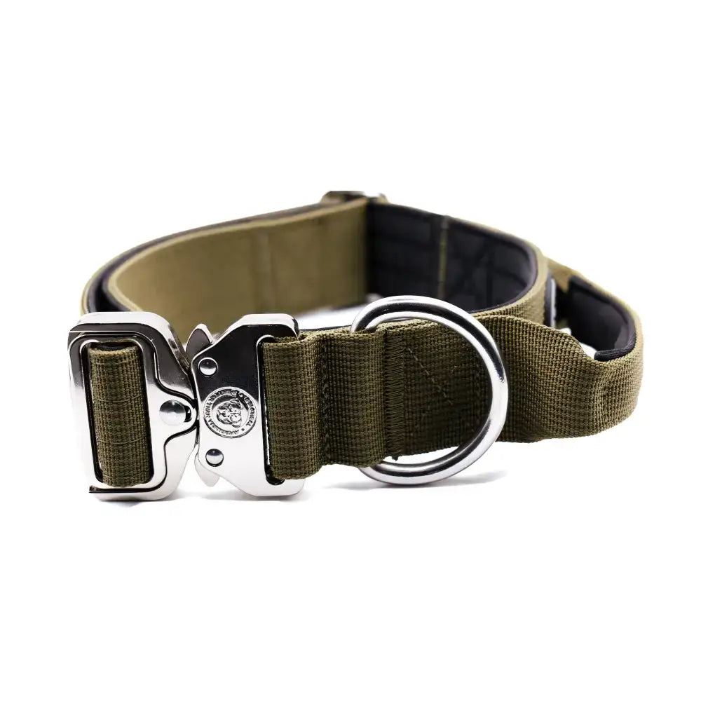 Olive green 4cm nylon btactical dog collar with silver metal buckle and d-ring for tough outdoor use in khaki green