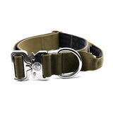 Olive green 4cm nylon btactical dog collar with silver metal buckle and d-ring for tough outdoor use in khaki green