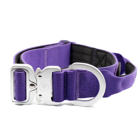 Purple woven 4cm nylon btactical dog collar with silver metal buckle and d-ring in lavender purple color