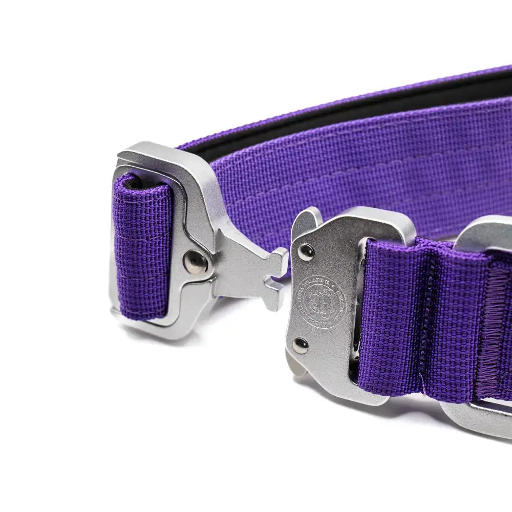 Lavender purple 4cm nylon btactical dog collar with woven nylon, silver buckle, and reinforced stitching
