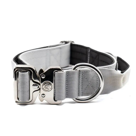 Gray nylon btactical dog collar 4cm wide in misty grey with silver metal buckle and d-ring for secure use