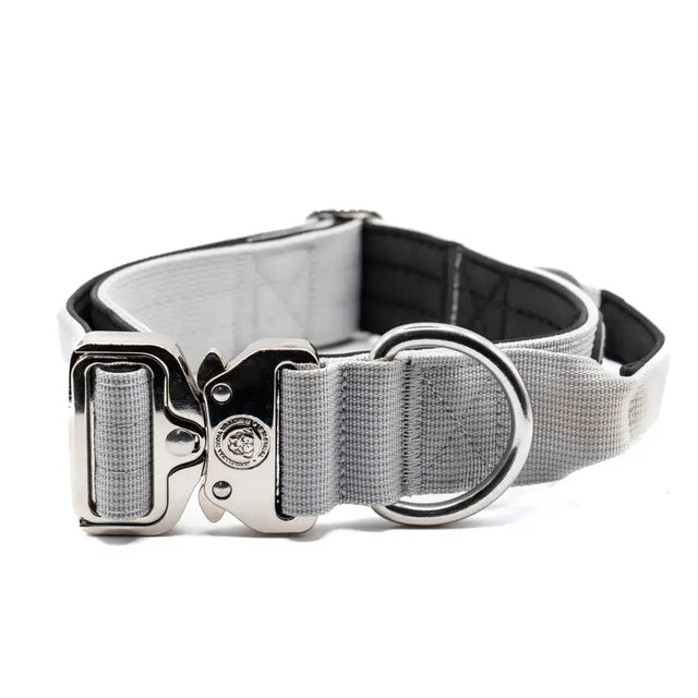 Gray nylon btactical dog collar 4cm wide in misty grey with silver metal buckle and d-ring for secure use