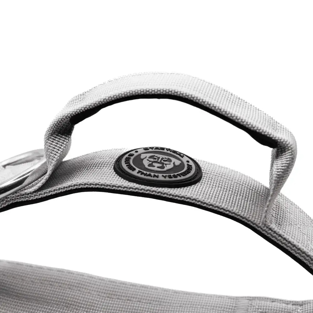 Gray woven fabric handle with black trim and circular dog logo on misty grey 4cm nylon btactical dog collar