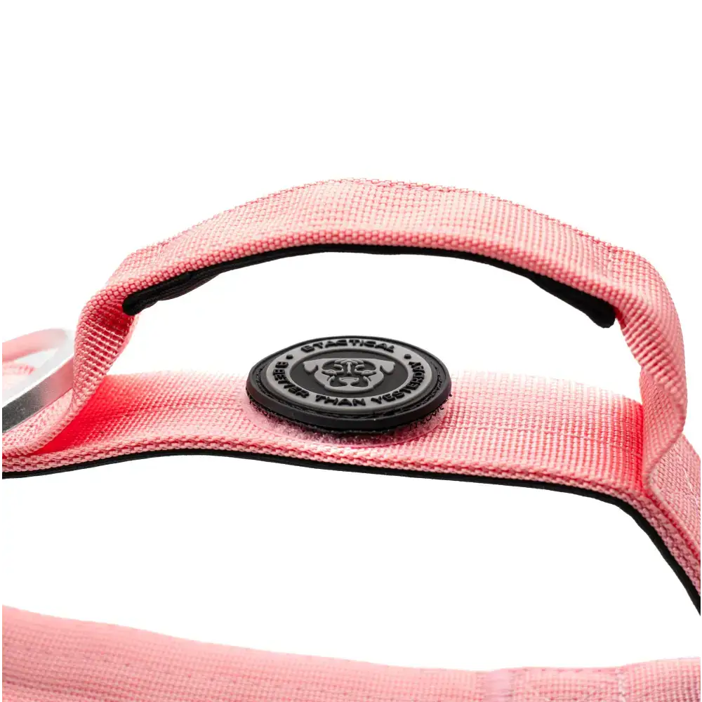 4cm Nylon BTactical™ Collar | Pretty Pink Small Dog Collar