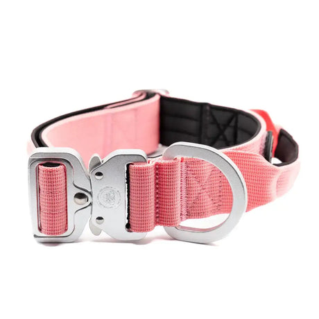 Pretty pink 4cm nylon btactical dog collar with woven fabric and silver-toned metal buckle and d-ring