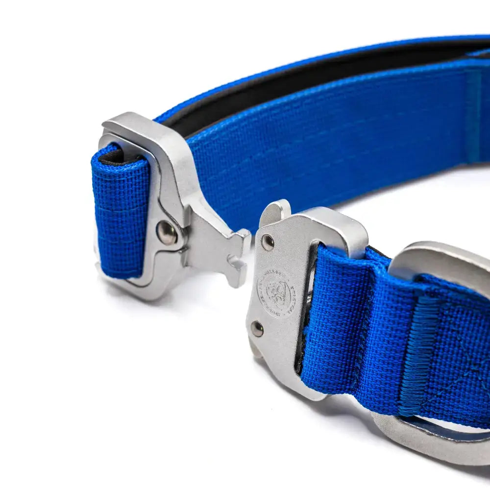 Bright blue 4cm nylon btactical dog collar with sturdy silver buckle and d-ring in royal blue color