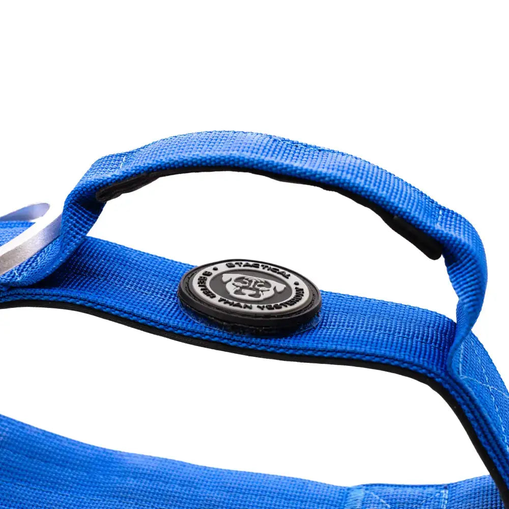 Royal blue 4cm nylon btactical dog collar with black stafford logo patch featuring a stylized dog face