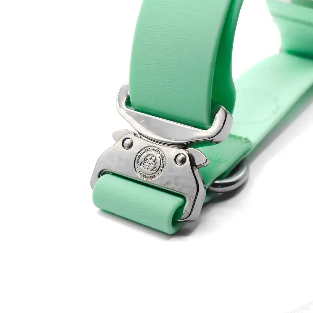A pastel green 4cm pvc btactical dog collar made of leather with a silver buckle and engraved logo