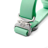 A pastel green 4cm pvc btactical dog collar made of leather with a silver buckle and engraved logo
