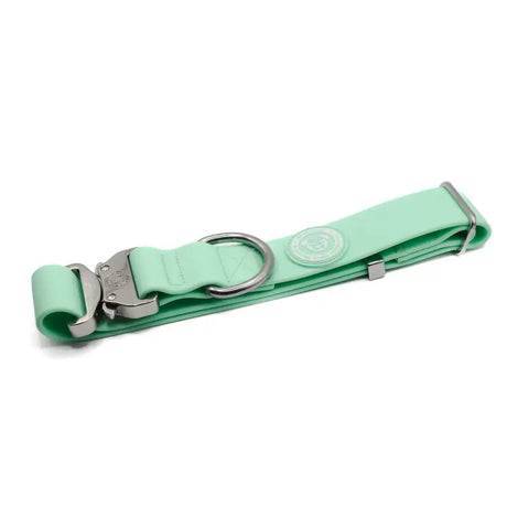 Mint green 4cm pvc btactical dog collar with nylon strap silver metal buckle and d-ring in pastel green tone