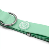 Mint green 4cm pvc btactical dog leash with silver metal ring and clasp for matching pastel green btactical dog collar