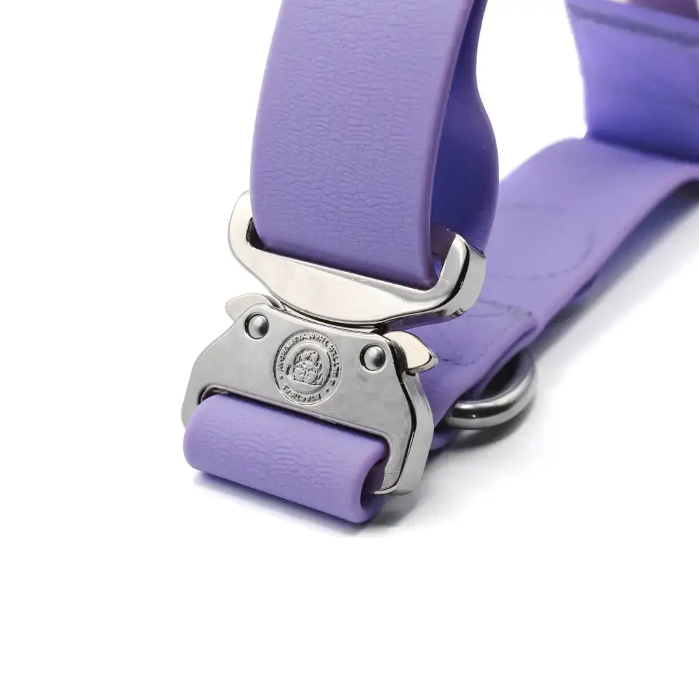 Pastel purple 4cm pvc btactical dog collar with purple leather and silver metal buckle featuring engraved logo