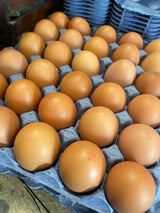 Free Range Eggs