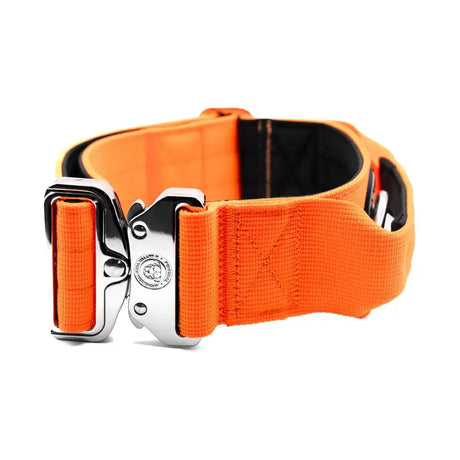 Bright orange 5cm nylon btactical dog collar with sturdy silver buckle and black inner lining in citrus orange