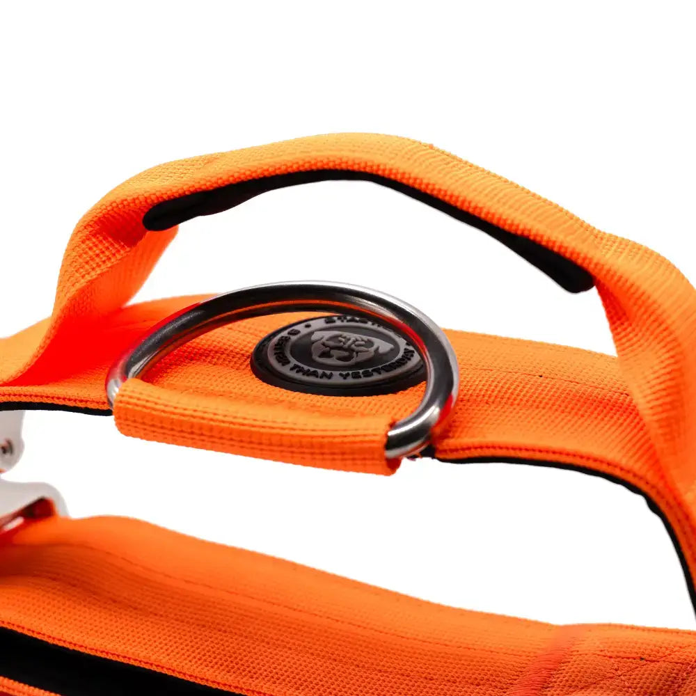 Bright orange 5cm nylon btactical dog collar with black and silver metal d-ring in citrus orange color