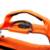 Bright orange 5cm nylon btactical dog collar with black and silver metal d-ring in citrus orange color