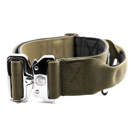 Olive green 5cm nylon btactical dog collar with silver buckle and reinforced stitching in collar khaki green style
