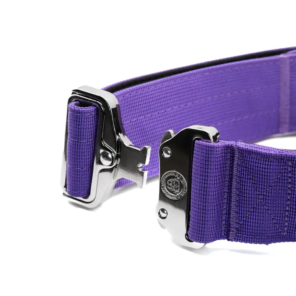 Purple woven 5cm nylon btactical dog collar with silver metal buckle adjustment in lavender purple color