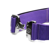 Purple woven 5cm nylon btactical dog collar with silver metal buckle adjustment in lavender purple color