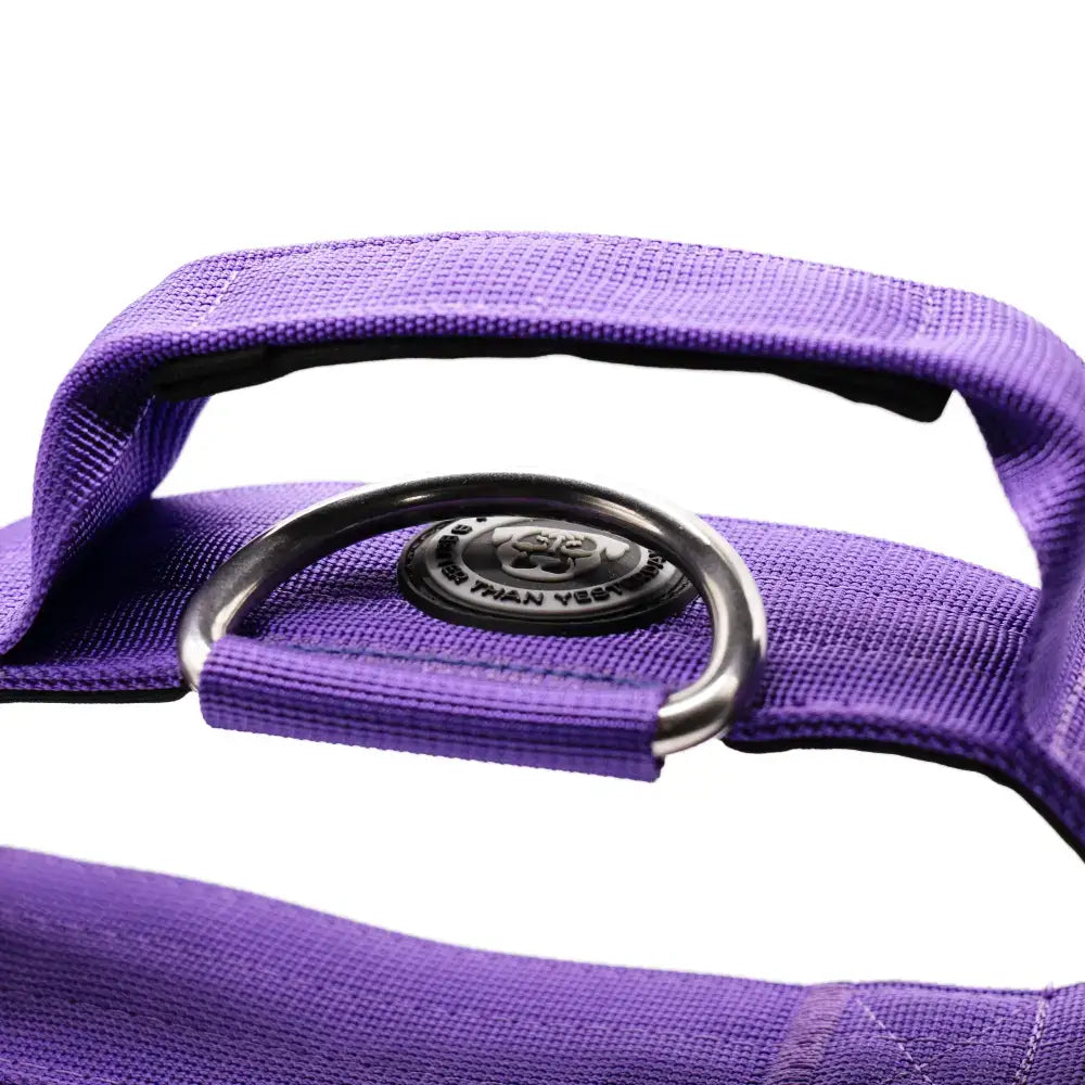 Lavender purple 5cm nylon btactical dog collar with woven fabric strap silver metal d-ring and black plastic buckle