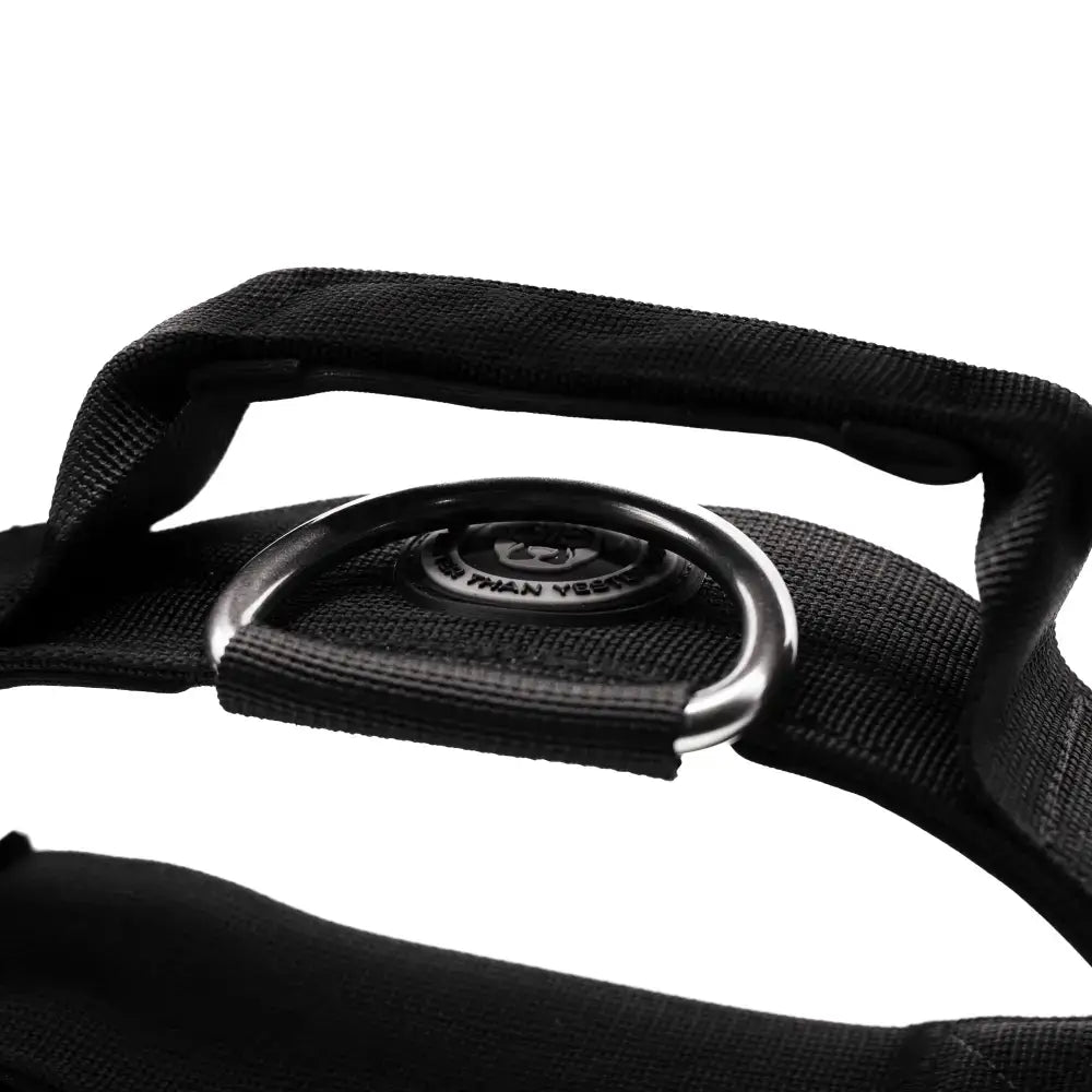 Black 5cm btactical collar with silver metal d-ring embossed branding and durable nylon webbing strap
