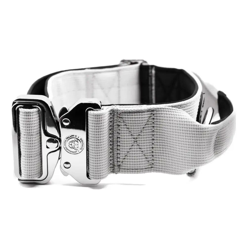 Gray misty grey 5cm nylon btactical dog collar with sturdy silver metal buckle and reinforced stitching