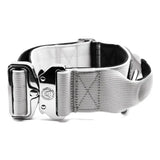 Gray misty grey 5cm nylon btactical dog collar with sturdy silver metal buckle and reinforced stitching