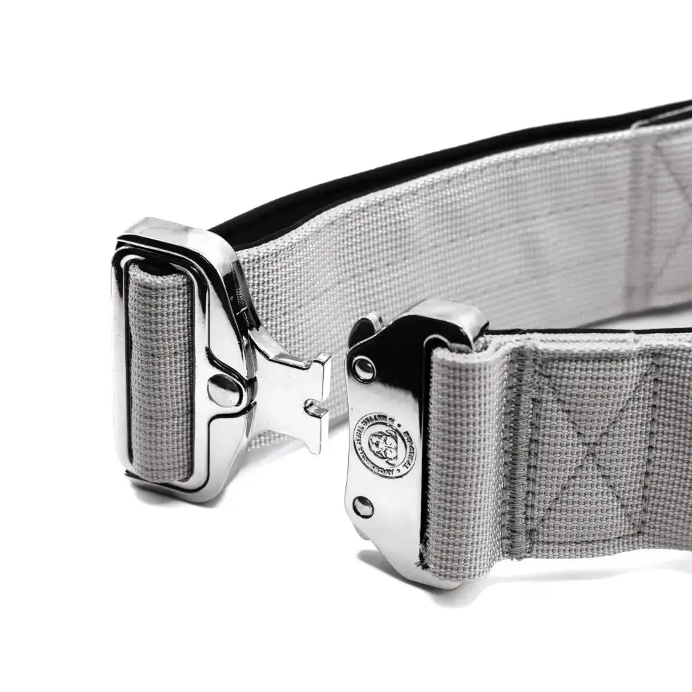 Gray 5cm nylon btactical dog collar in misty grey with silver metal buckle and reinforced stitching