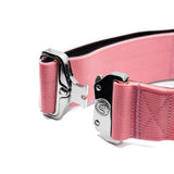 Pretty pink 5cm nylon btactical dog collar with woven fabric belt and silver-toned metal buckle and hardware