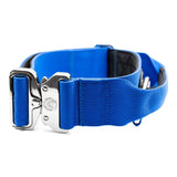 Bright royal blue 5cm nylon btactical dog collar with sturdy silver metal buckle and reinforced stitching