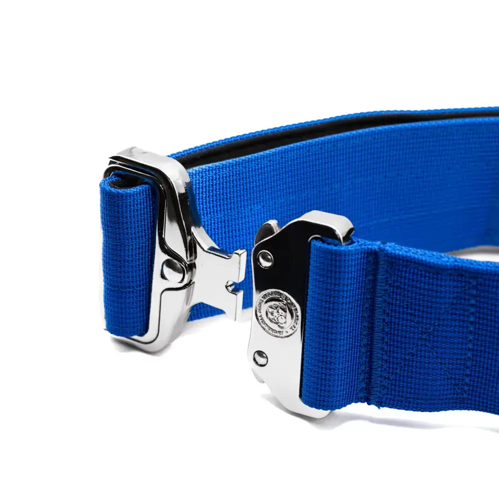 Bright blue 5cm nylon btactical dog collar with royal blue elastic belt and silver embossed logo buckle