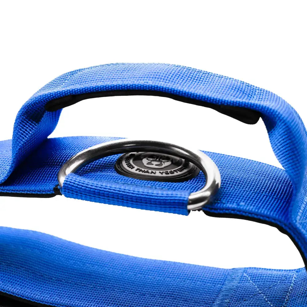 Bright blue woven handle with silver d-ring and black plaque on royal blue 5cm nylon btactical dog collar