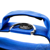 Bright blue woven handle with silver d-ring and black plaque on royal blue 5cm nylon btactical dog collar