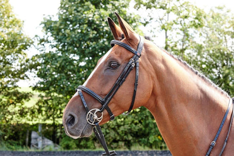 John Whitaker Barton Raised Flash Bridle Bridles Barnstaple Equestrian Supplies