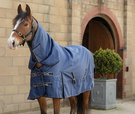 Rhinegold Arizona 100g Light Weight Turnout Rug Full Neck Turnout Rugs Barnstaple Equestrian Supplies