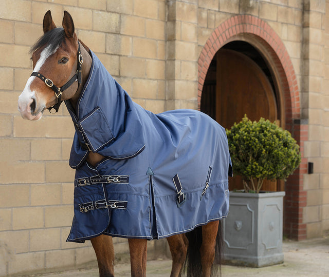 Rhinegold Arizona 100g Light Weight Turnout Rug Full Neck Turnout Rugs Barnstaple Equestrian Supplies