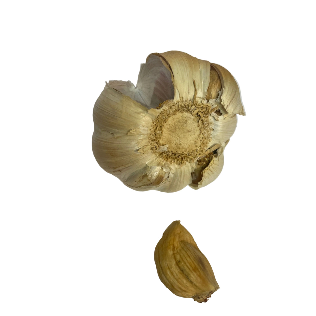Smokey Sam's Smoked Garlic Bulb