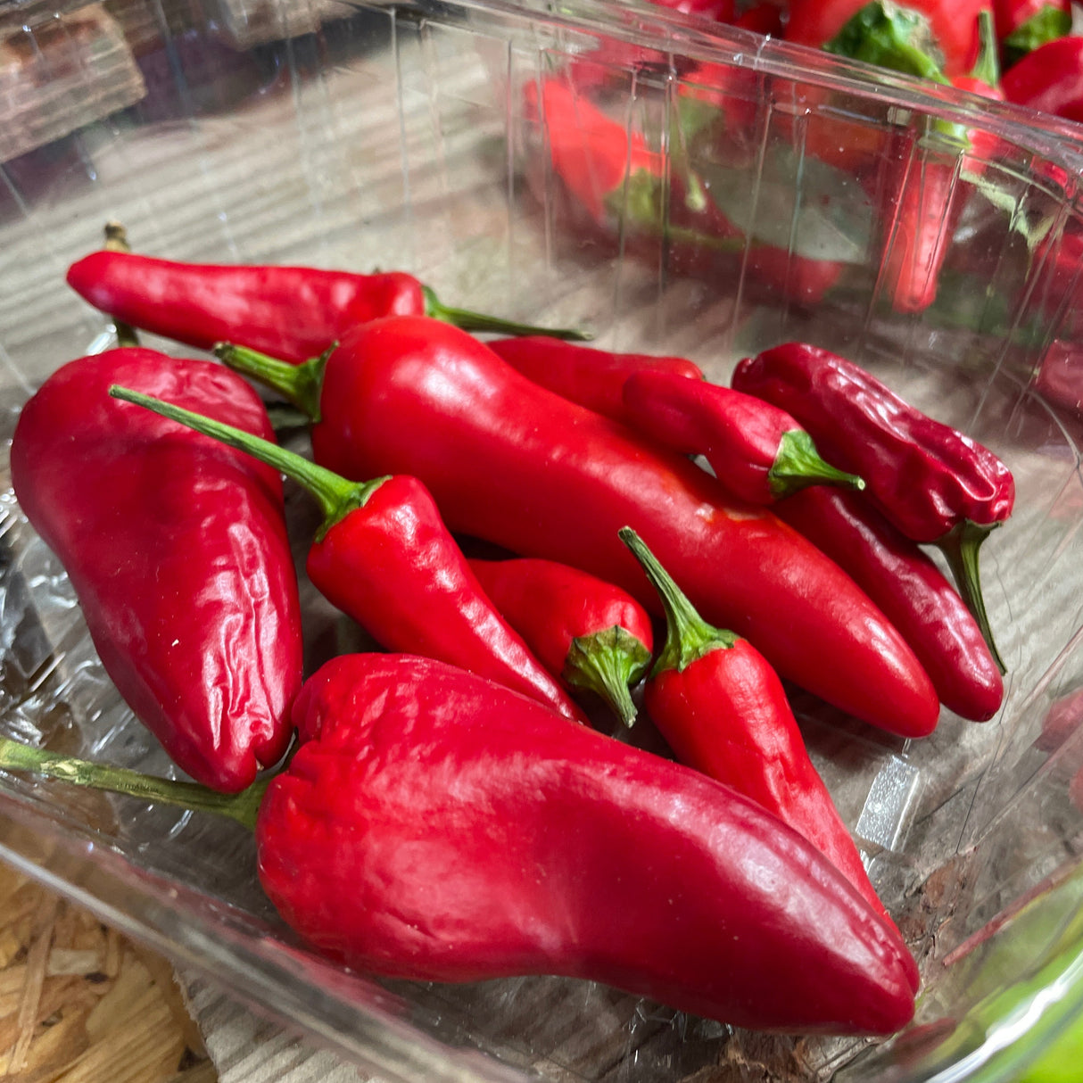 Local Chillies