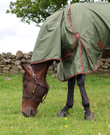 Perf Detachable Neck 50g Lightweight Turnout Rug For Horses