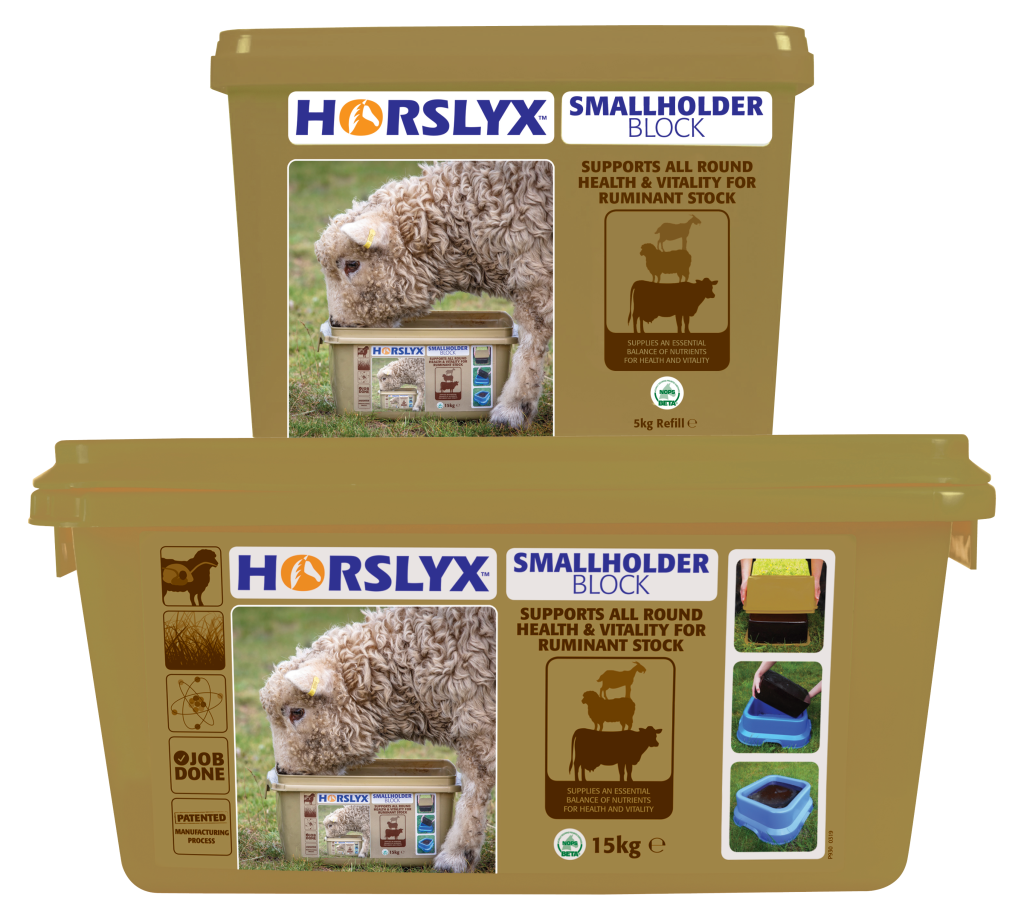 Horslyx Smallholders Mineral Block