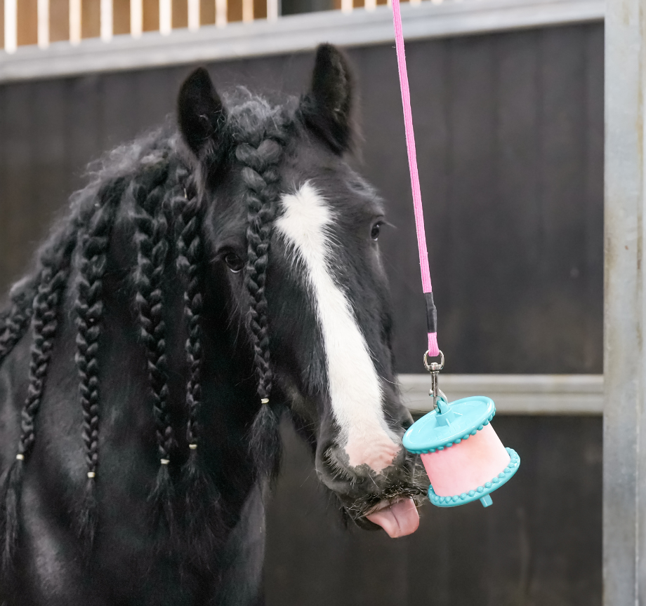 Likit Boredom Breaker Relief Refills 625g