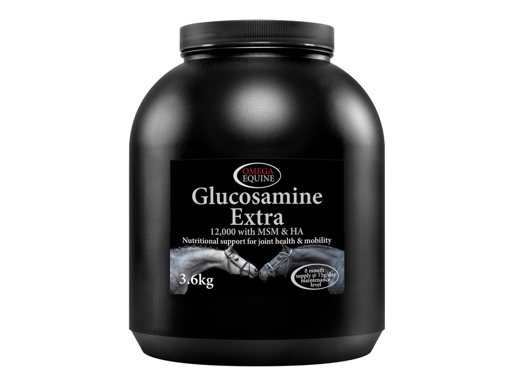 Omega Equine Glucosamine Extra Equine Joint Supplements Barnstaple Equestrian Supplies