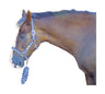 Hy Tartan Head Collar with Lead Rope Headcollar & Lead Rope Barnstaple Equestrian Supplies