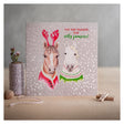 Deckled Edge Christmas Card  Season for Silly Jumpers Gift Cards Barnstaple Equestrian Supplies