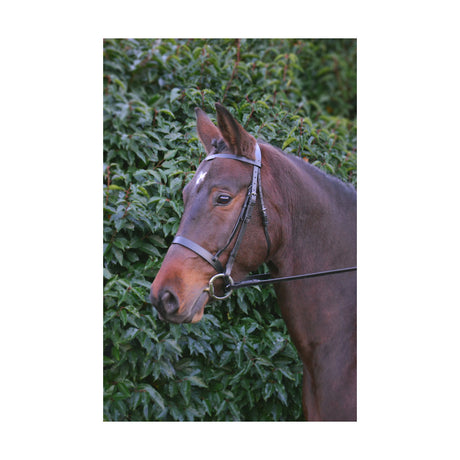 Hy Equestrian Hunter Bridle with Rubber Grip Reins Cavesson Bridle Barnstaple Equestrian Supplies