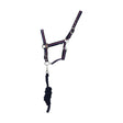 Hy Signature Head Collar & Lead Rope Headcollar & Lead Rope Barnstaple Equestrian Supplies