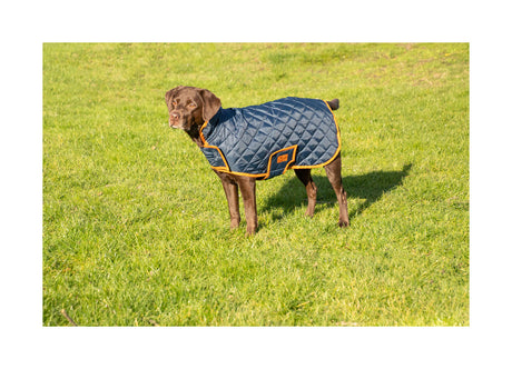 Benji & Flo Quilted Dog Coat Dog Coat Barnstaple Equestrian Supplies
