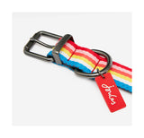Joules Rainbow Stripe Dog Collar Dog Collar Barnstaple Equestrian Supplies