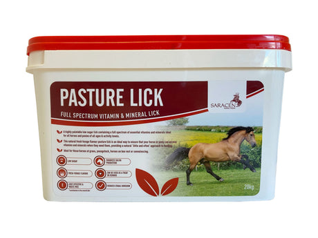 Saracen Pasture Licks Horse Licks Barnstaple Equestrian Supplies